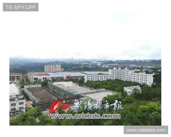 凯发体育备用平台如何实现快速注册与资金安全保障为玩家提供优质服务